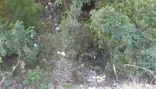 Imagen de cuerpo de nota