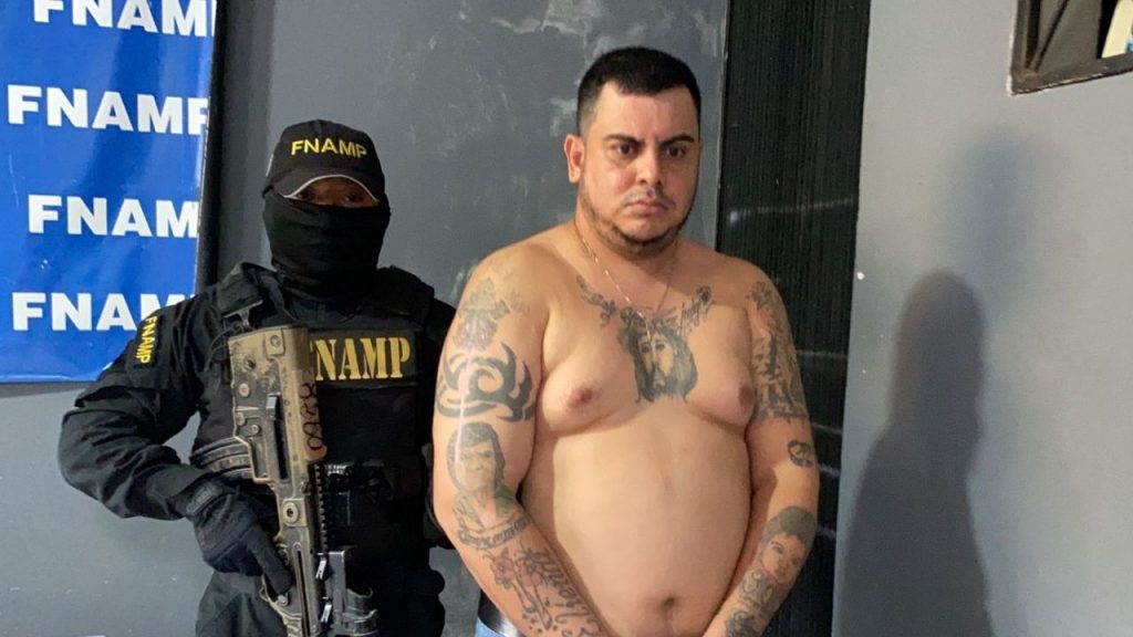 Imagen de cuerpo de nota