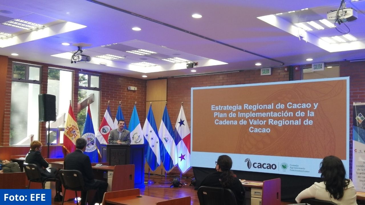 América Central cuenta con una nueva estrategia de relevo generacional del cacao