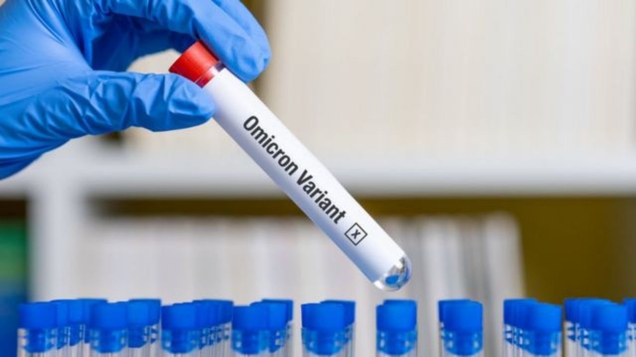 OMS dice que puede llevar hasta 3 semanas conocer mejor la variante ómicron