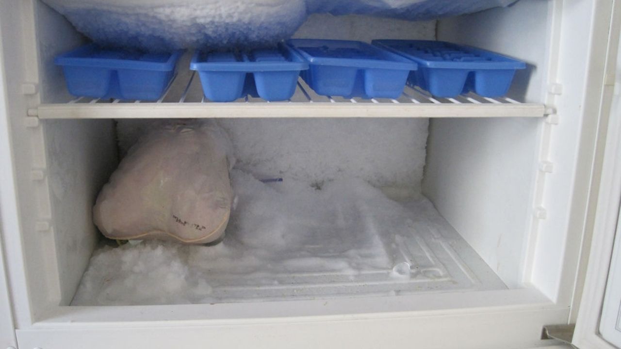 ¡Macabro hallazgo! Descongeló su refrigerador y halló los restos de un bebé en una bolsa