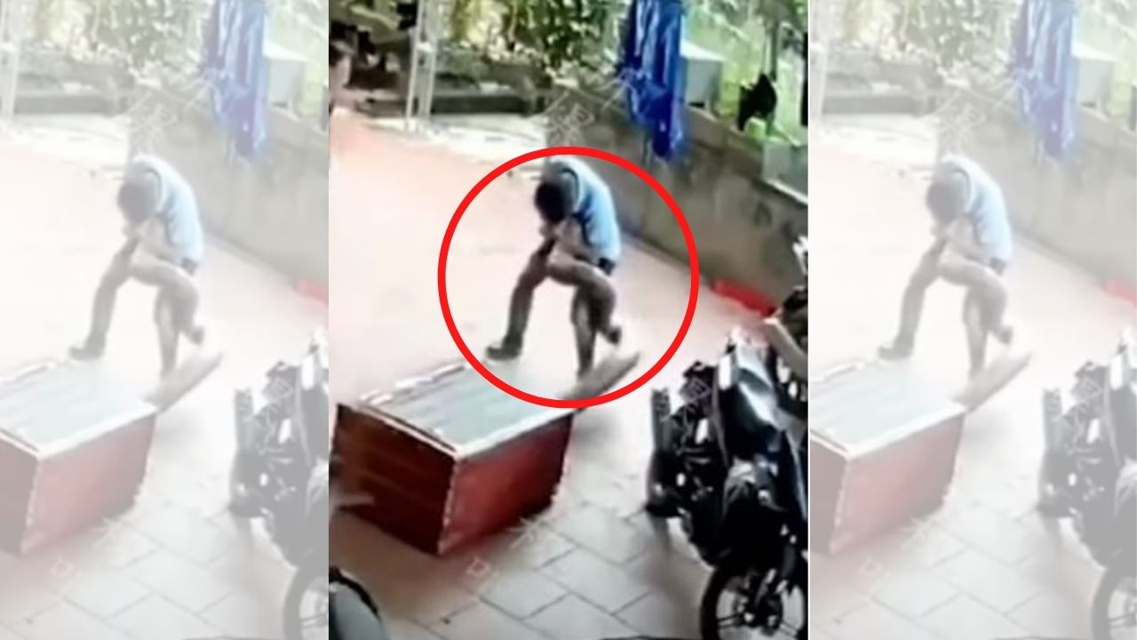 Serpiente gigante salta desde su escondite para atacar a un hombre y el vídeo es furor