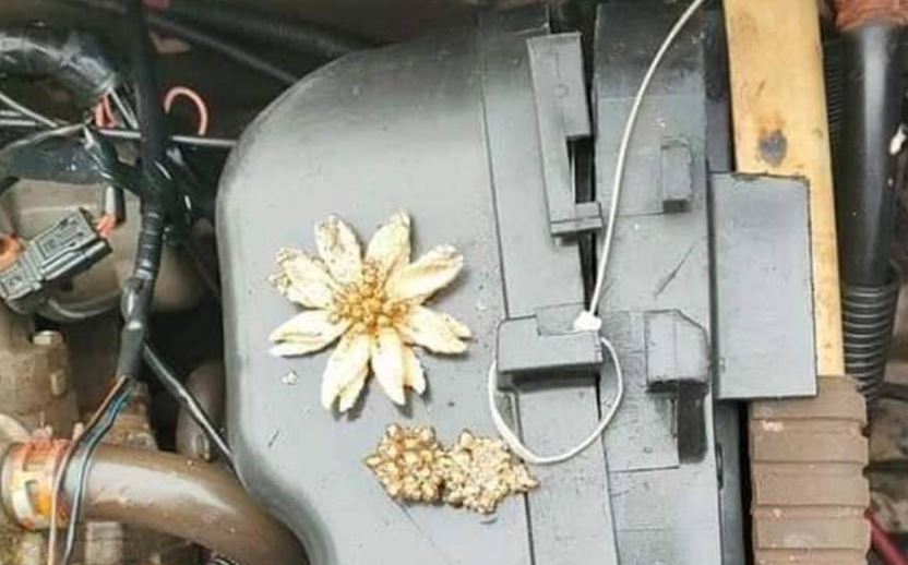 Imagen de cuerpo de nota