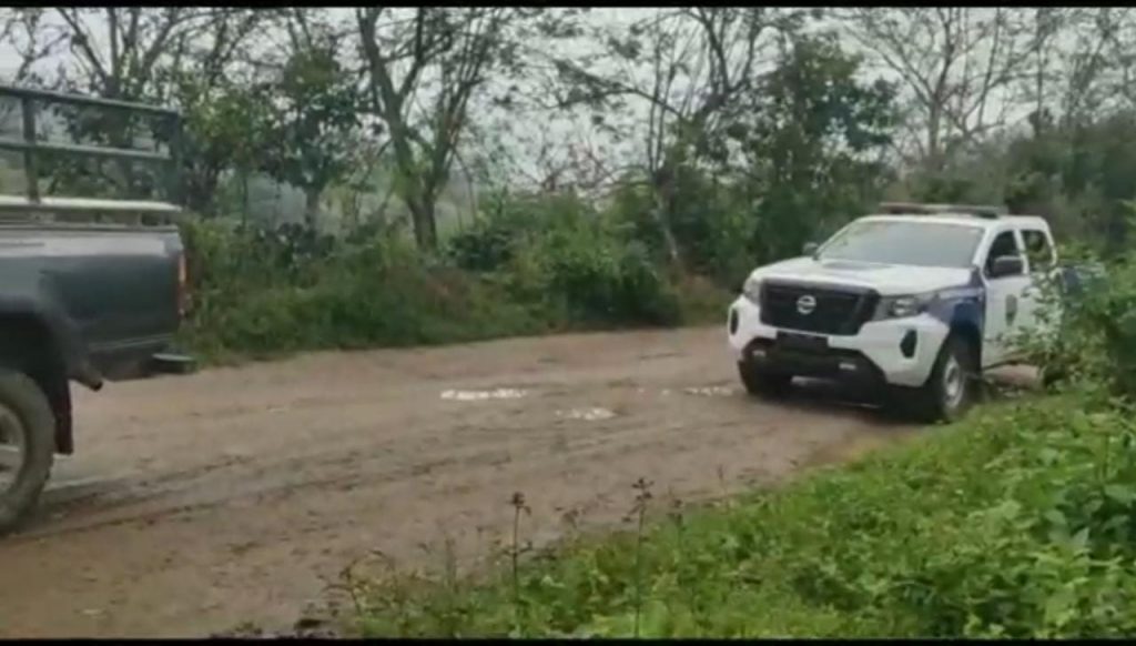 Imagen de cuerpo de nota