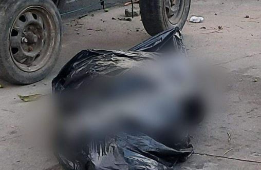 Imagen de cuerpo de nota