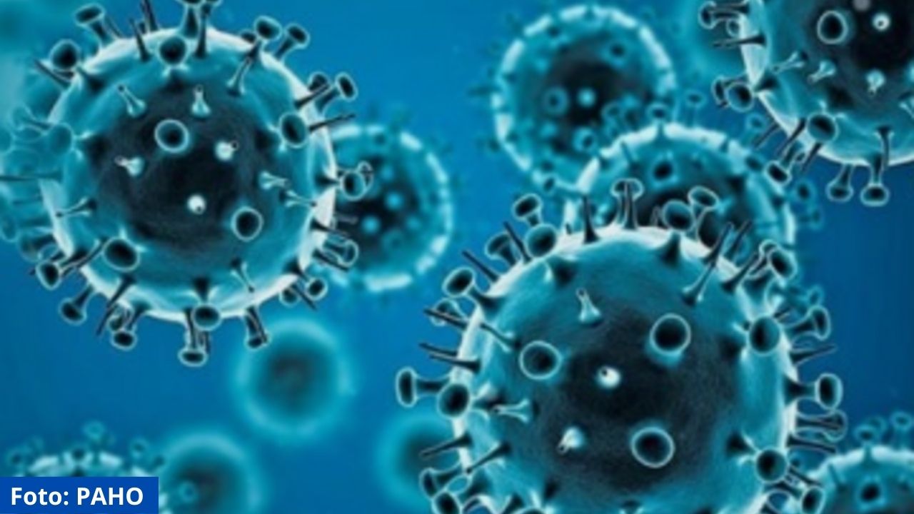 No se debe subestimar el daño que causa ómicron, según la OMS