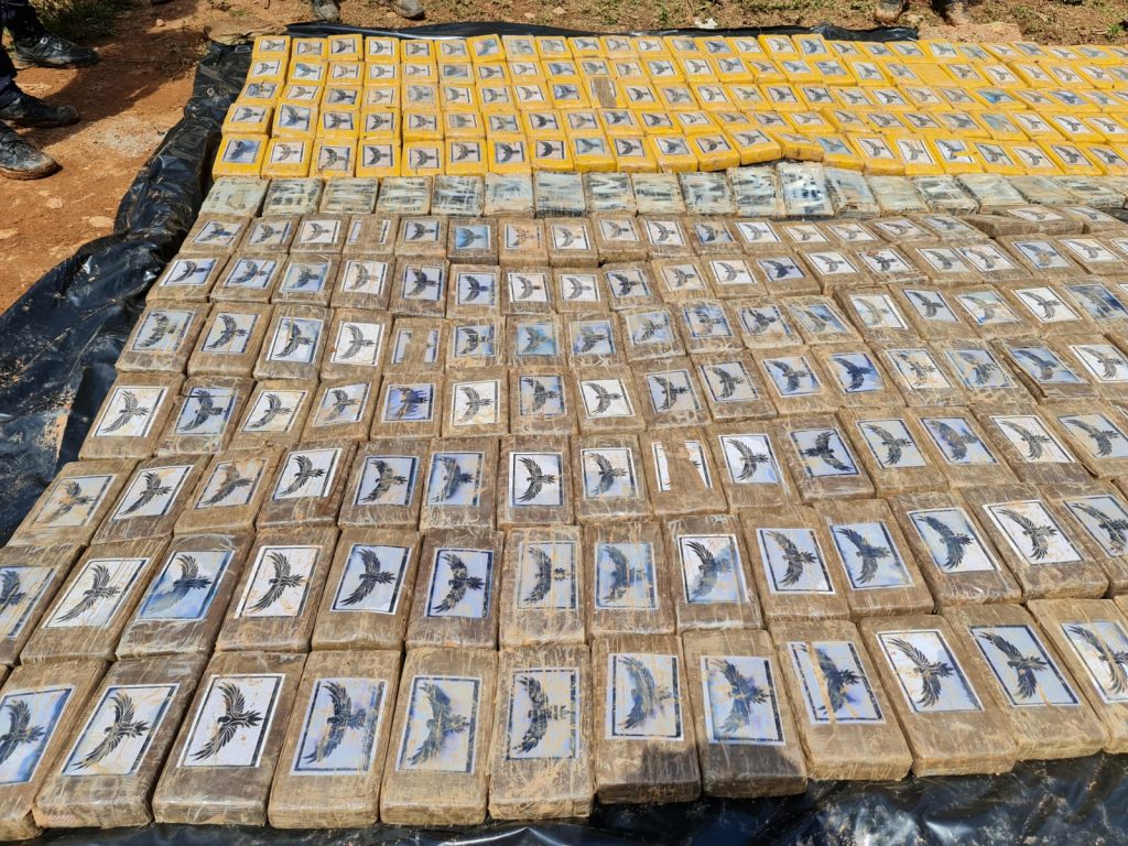 Imagen de cuerpo de nota