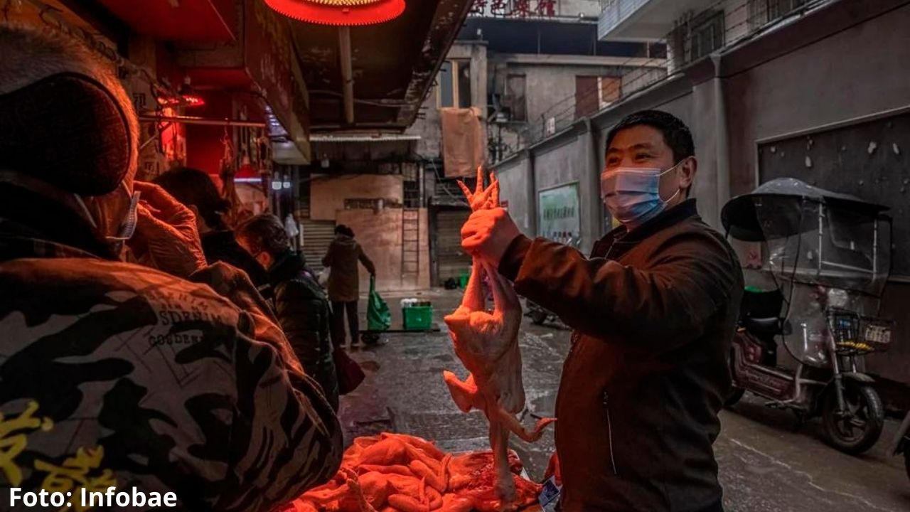 Hallan decenas de virus desconocidos para los humanos en animales que consumen en China