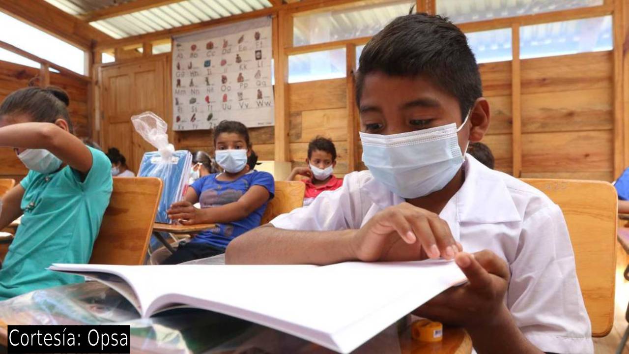 Plantean ir en busca masiva de estudiantes ante estrepitosa caída de la matrícula