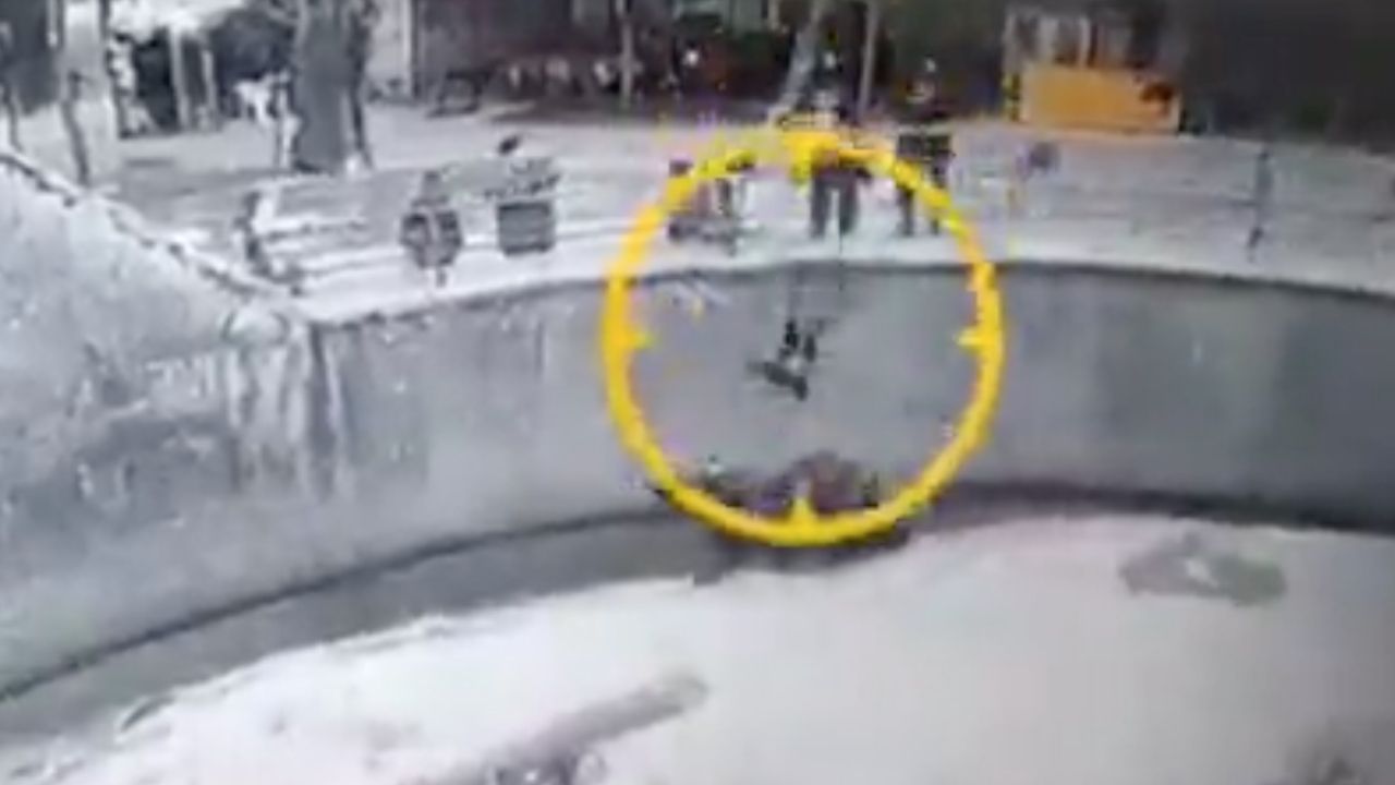 Vídeo: Mujer lanza a niña a un foso de osos, este fue el resultado