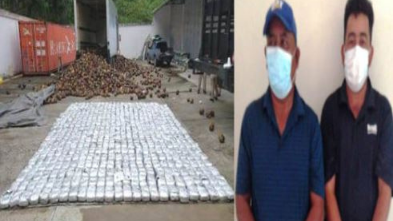 Enviados a prisión vendedores de coco que transportaban droga escondida en la fruta