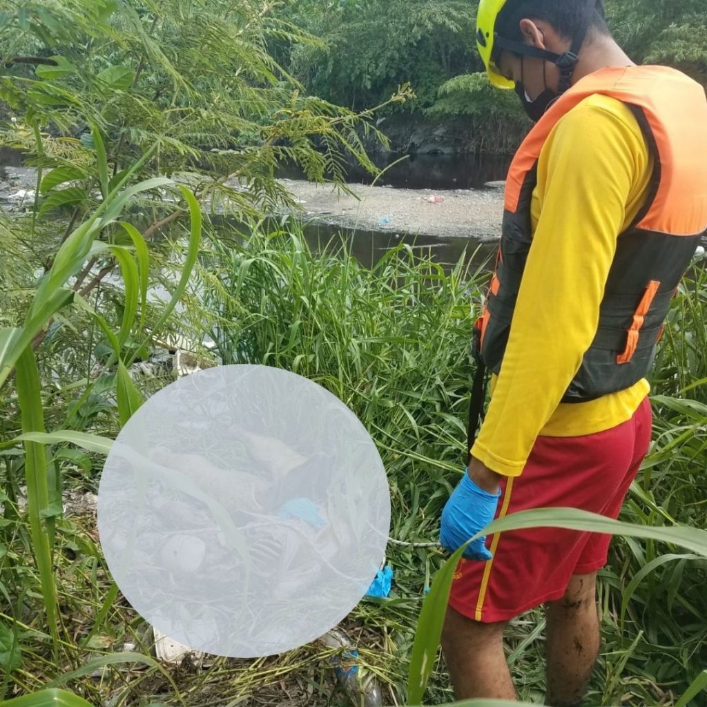 Imagen de cuerpo de nota