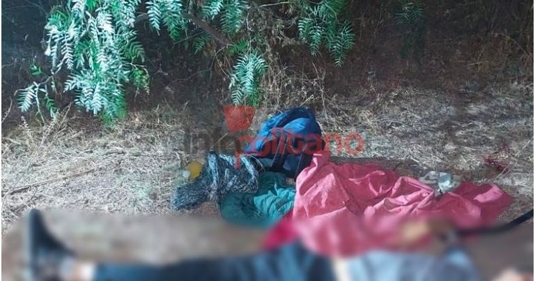 Imagen de cuerpo de nota