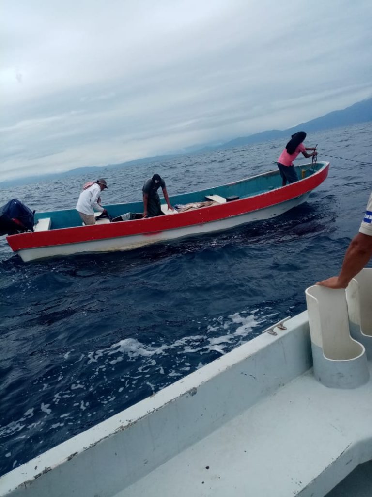 Imagen de cuerpo de nota