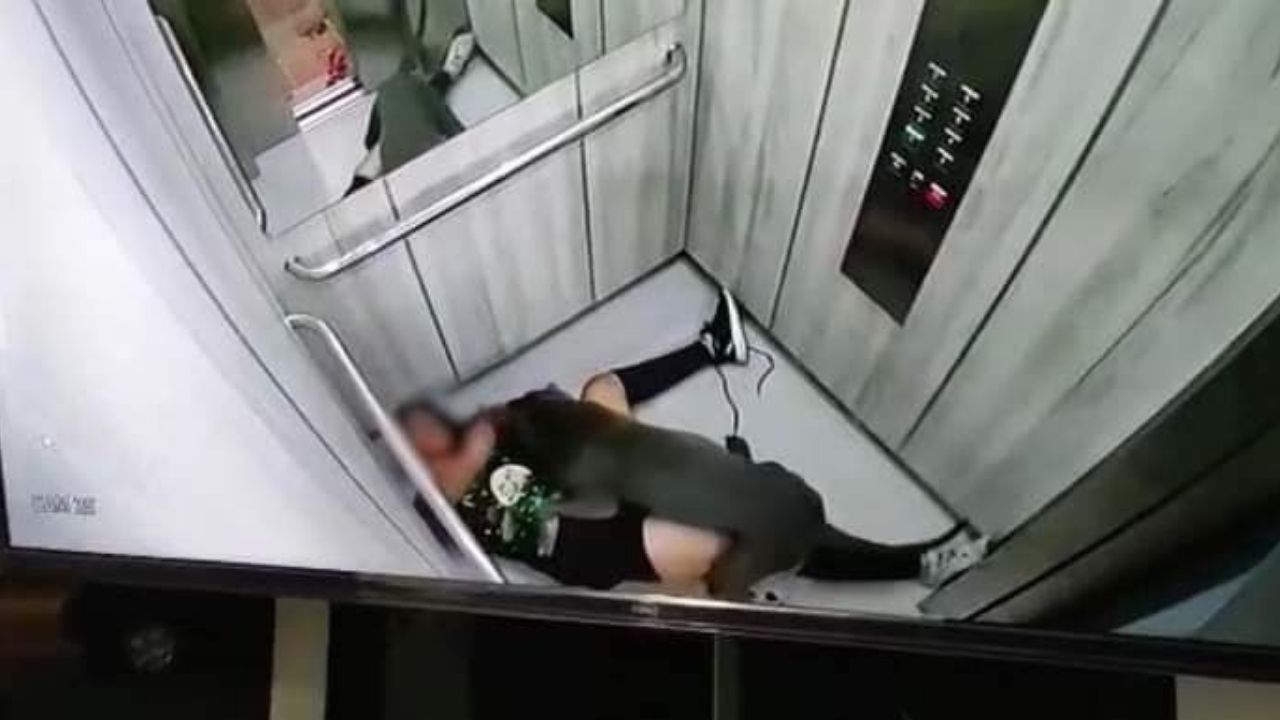 Video: Joven es brutalmente atacada por un pitbull dentro de un ascensor