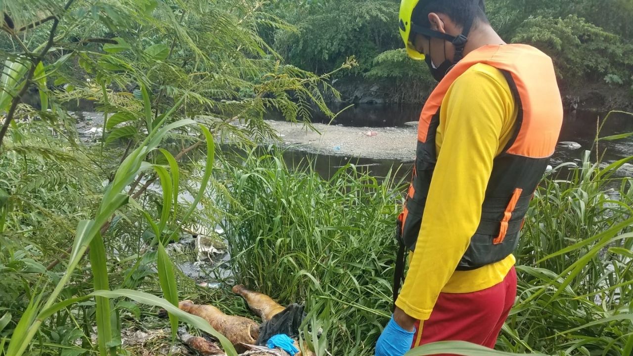 Imagen de ¡Escalofriante! Encuentran el cuerpo de una mujer en avanzado estado de descomposición en Lima