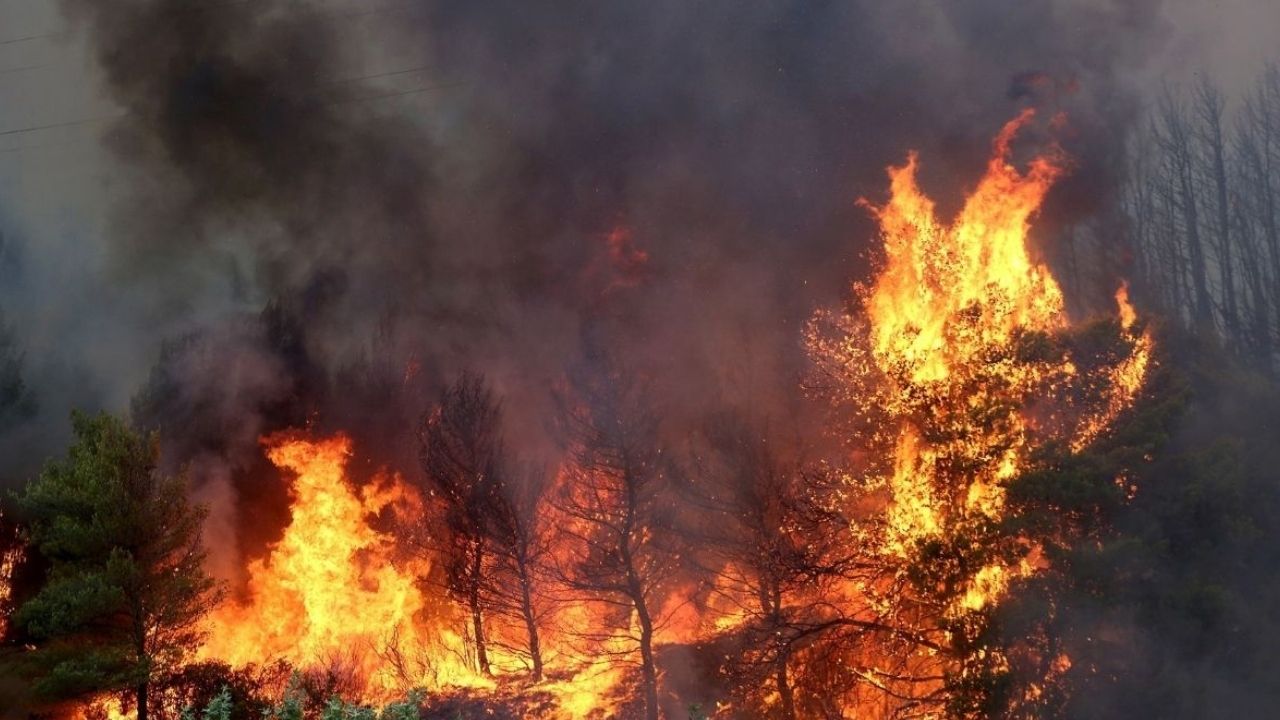 Más de 130 incendios forestales se registraron en Honduras de enero a marzo de 2022
