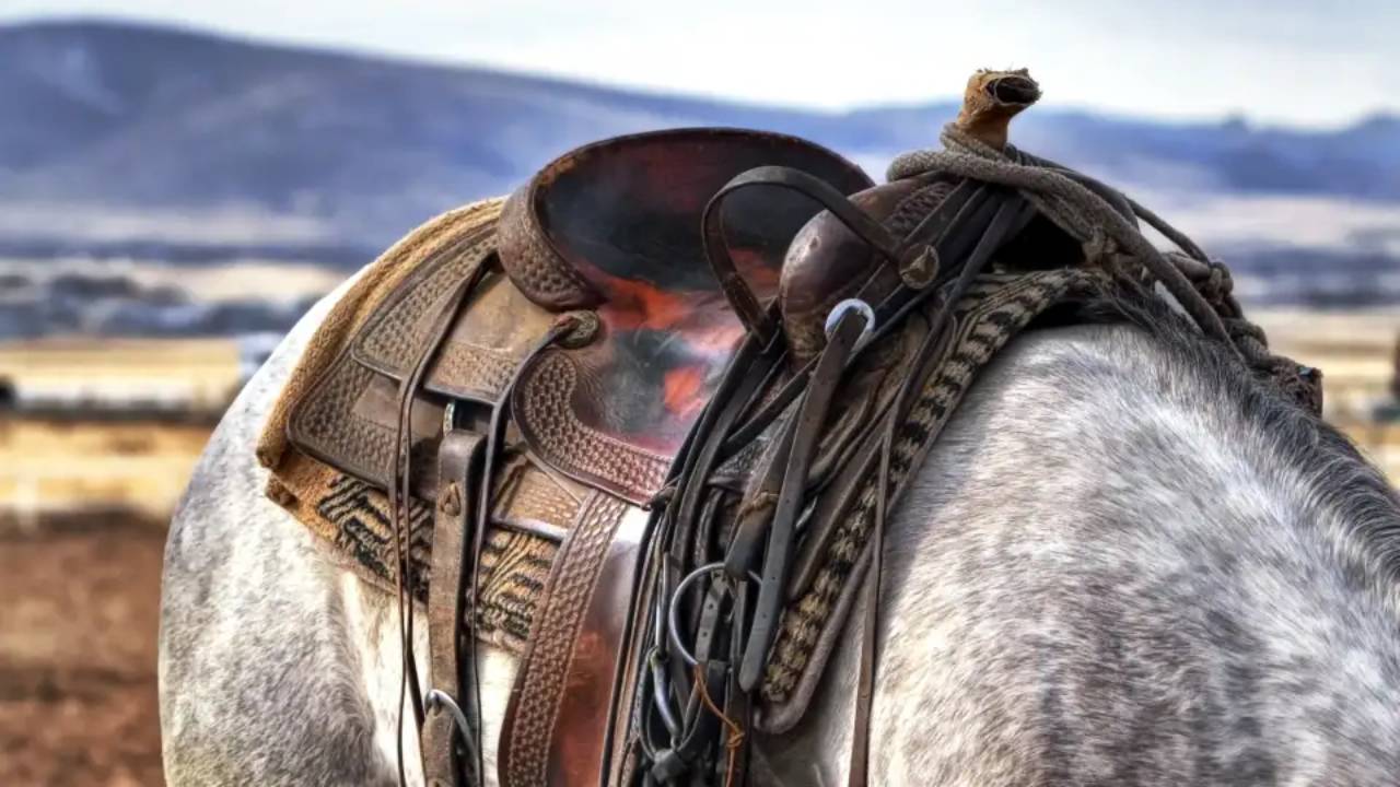 Niño de año y medio murió arrastrado por un caballo cuando visitaba a su abuela en Ojojona