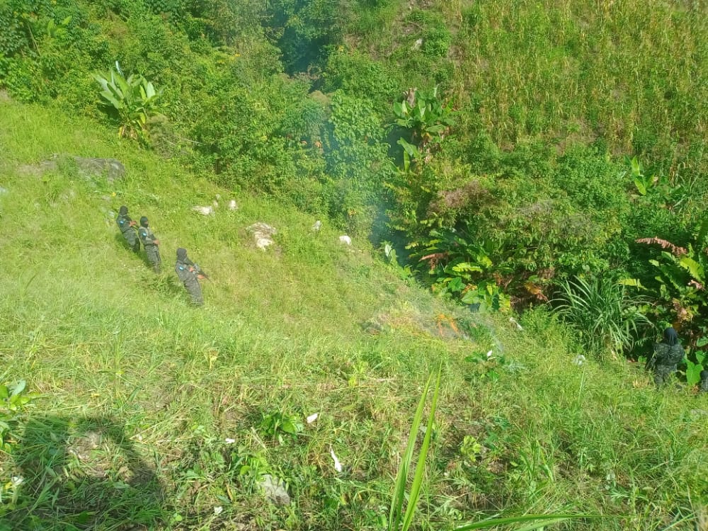 Imagen de cuerpo de nota