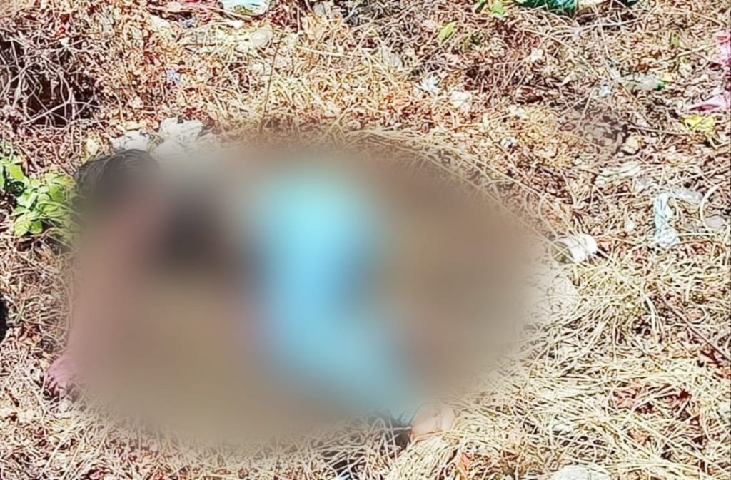 Imagen de cuerpo de nota