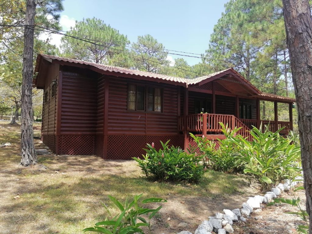 Imagen de cuerpo de nota