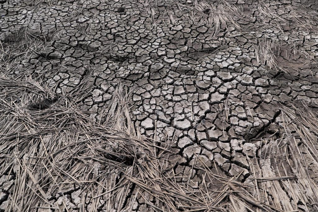 Imagen de cuerpo de nota