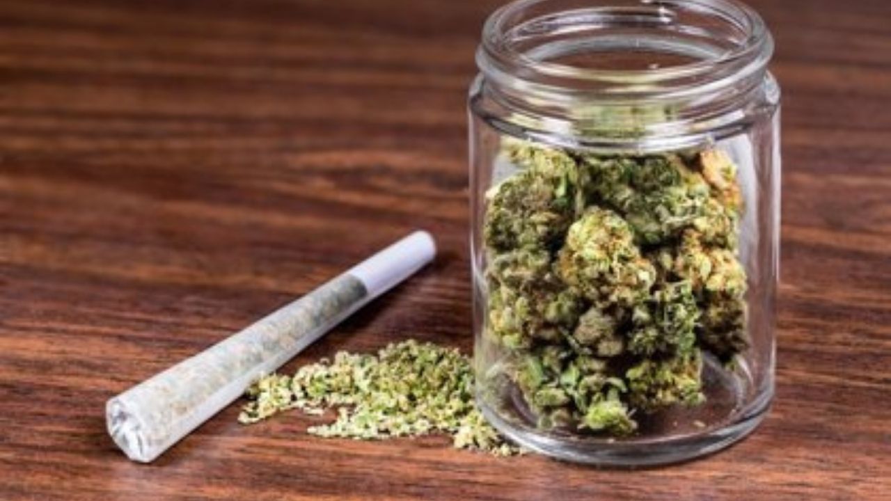 Estados Unidos aprueba despenalizar la marihuana