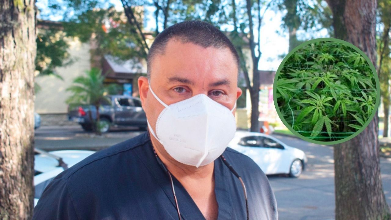 'No es una propuesta alocada'; Carlos Umaña ante propuesta de Nasralla de cultivar cannabis en Honduras
