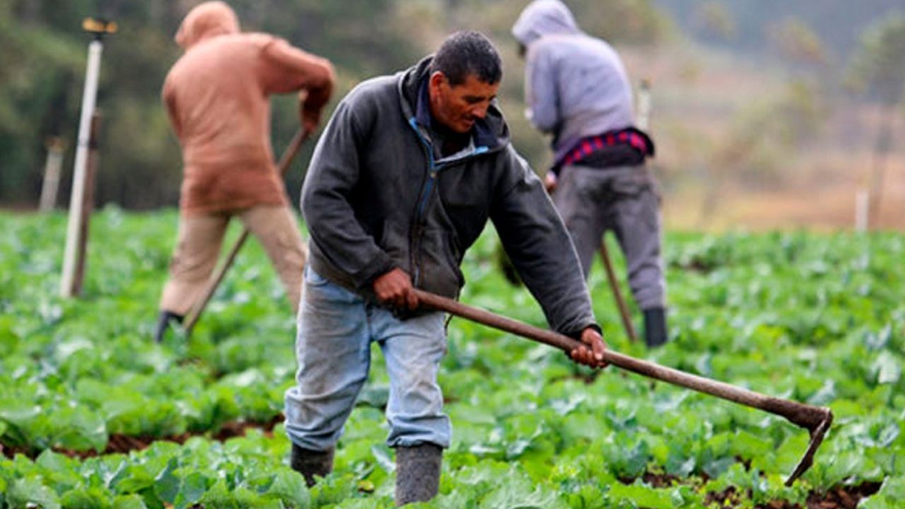 Editorial HRN: ¡Que nos vuelva a importar el campo!