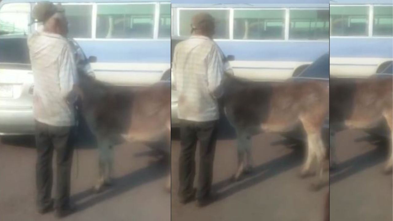 'No hay pasada, compa'; Hondureño y su burro terminan varados por paro de transporte