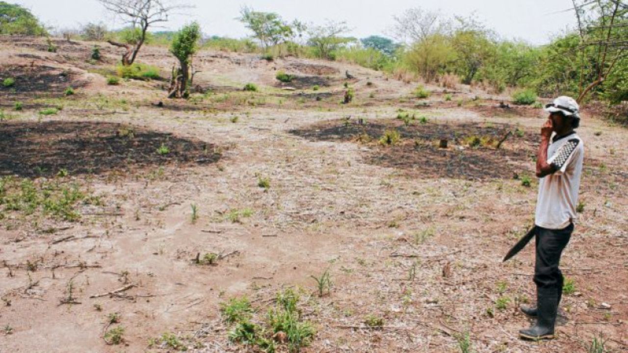 El cambio climático aumenta las condiciones para los incendios en Honduras, según experto
