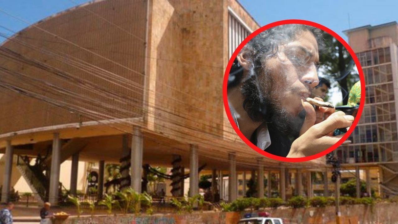 'Fumón 2/40': hondureños llegan al Congreso a pedir a diputados que legalicen la marihuana