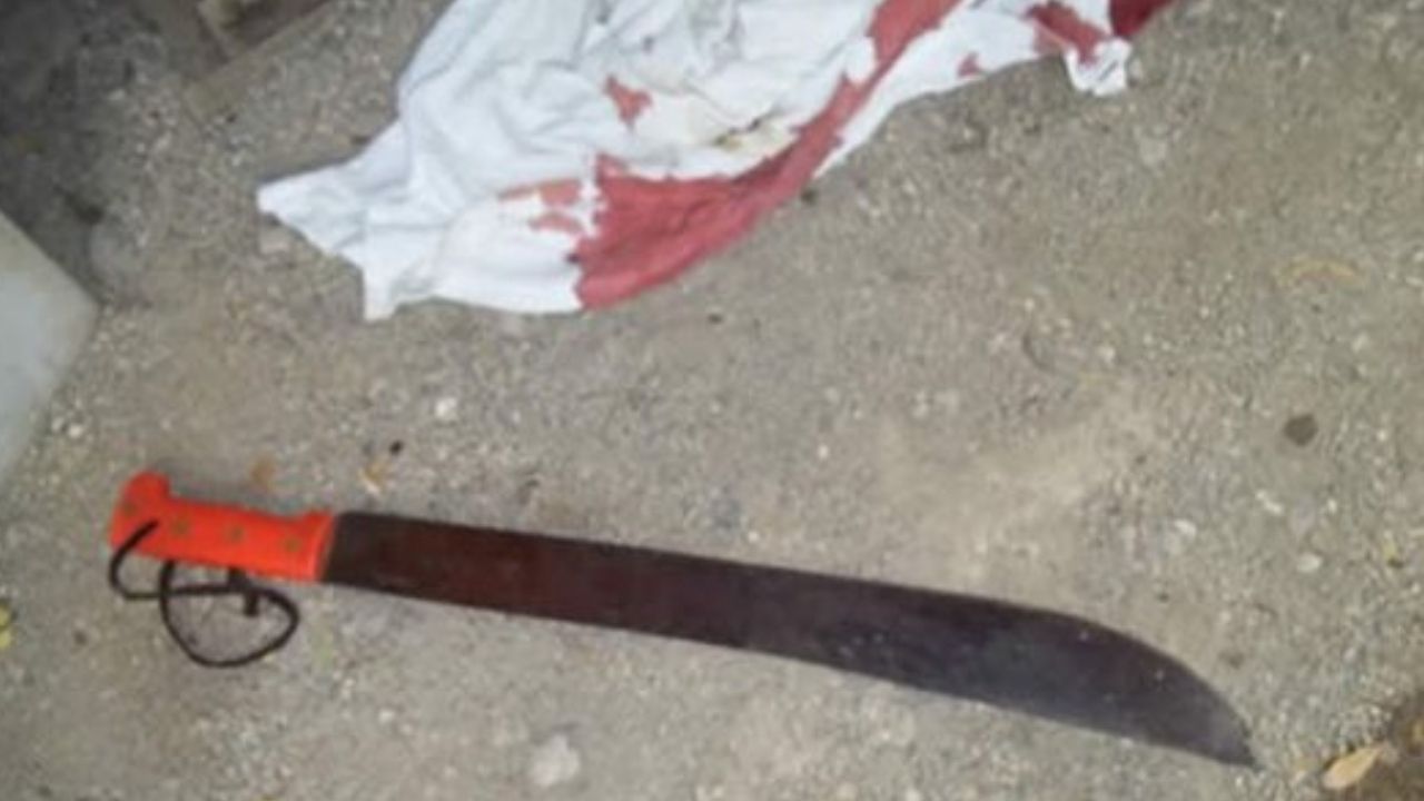 'Dijo que lo iba a hacer picadillo': hondureño intenta matar a su padre por una propiedad