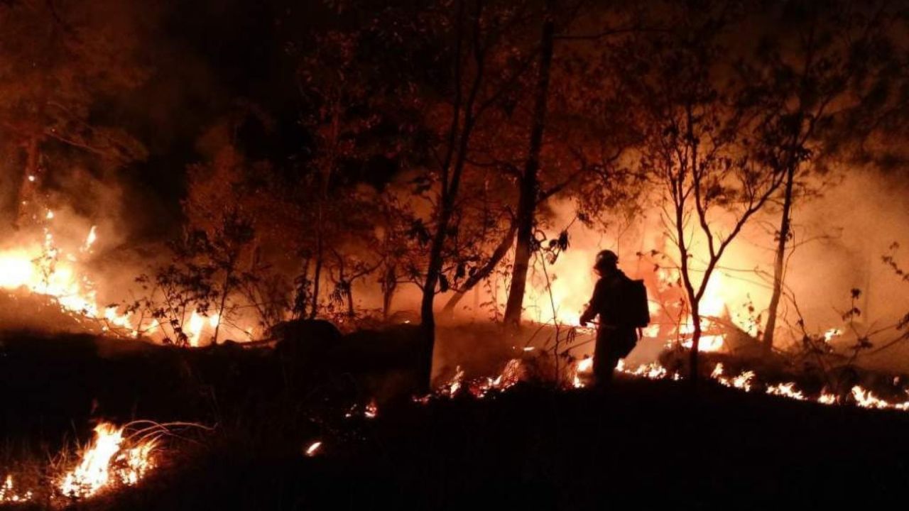 Incendios forestales en Honduras han consumido más de 9,000 hectáreas de bosque al mes entre enero y abril de 2022