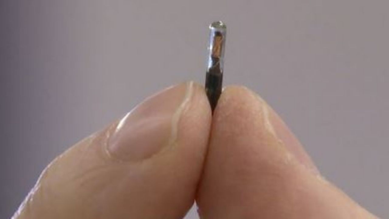 ¡Señal apocalíptica! Sale a la venta chip que se implanta en la piel, conoce lo que permite hacer