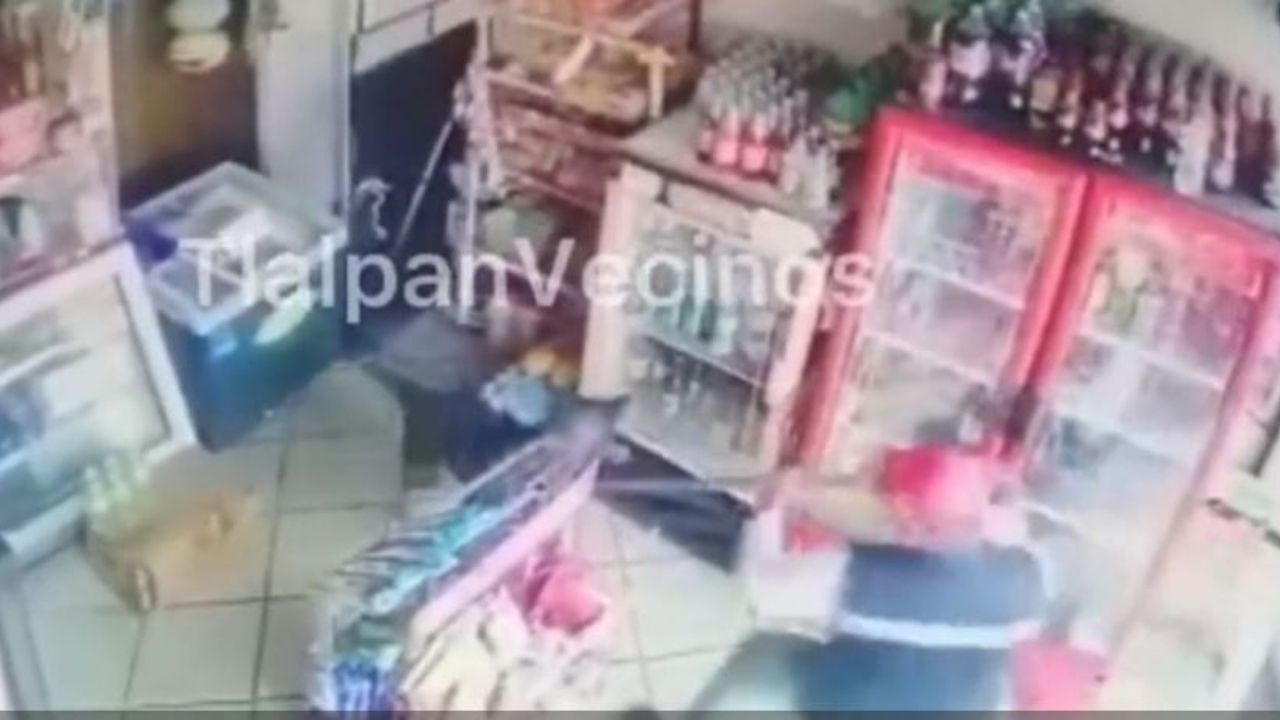 ¡Indignante! hombres golpean brutalmente a perro que mordió a niño con síndrome de Down