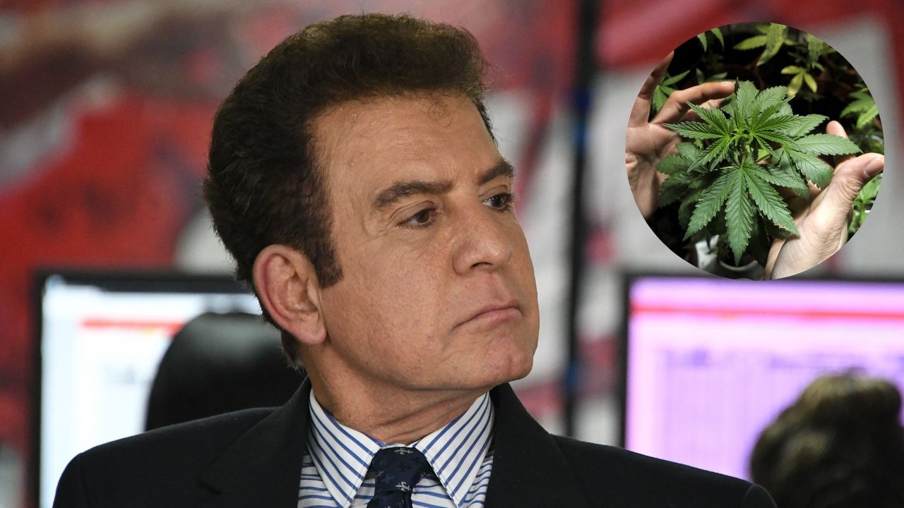 Salvador Nasralla propone cultivar cannabis en Honduras para generar empleos