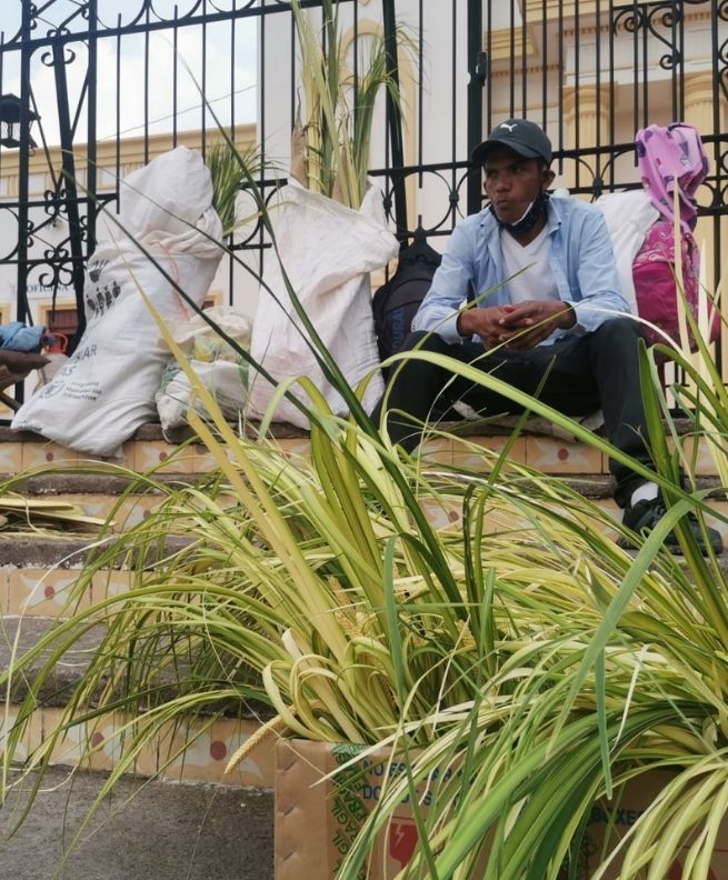 Imagen de cuerpo de nota