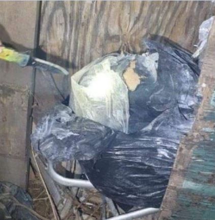 Imagen de cuerpo de nota