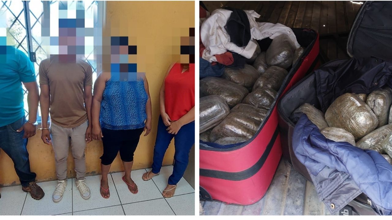 Capturan a cuatro personas con 100 libras de marihuana; las llevaban ocultas en maletas