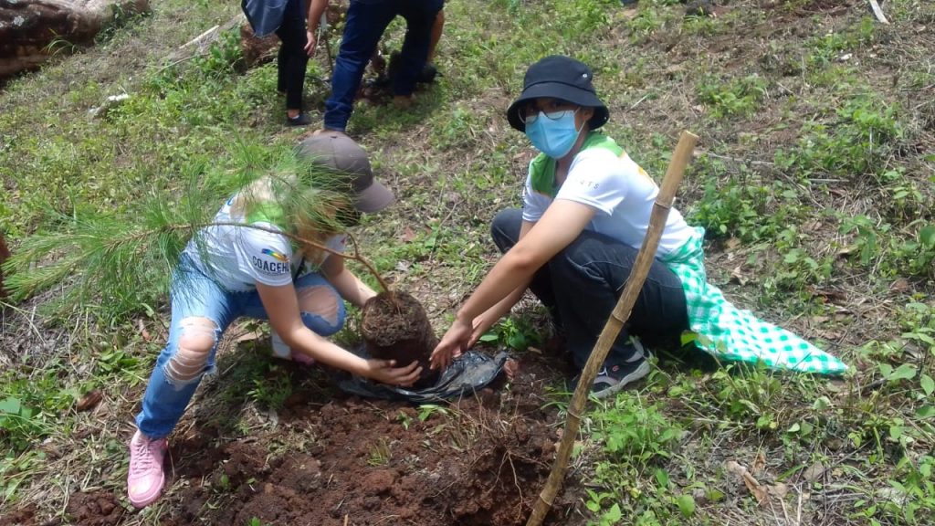Imagen de cuerpo de nota