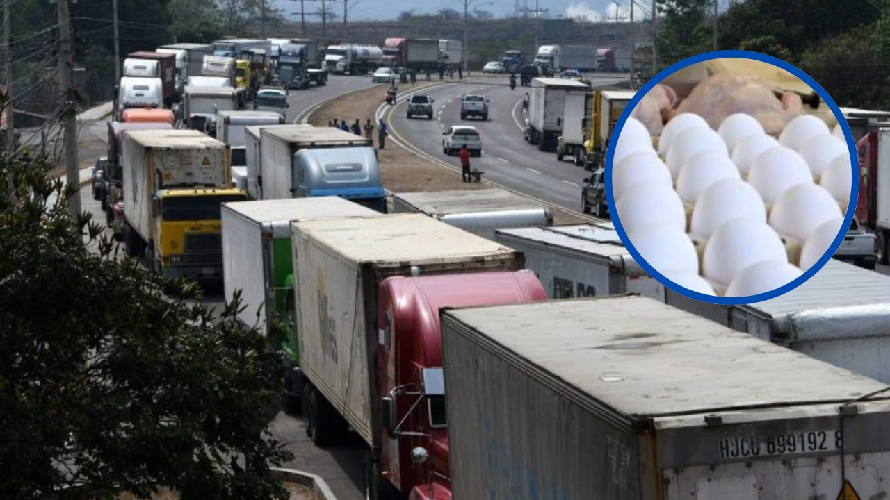 Zona central de Honduras quedaría desabastecida de pollo y huevos por toma de carreteras