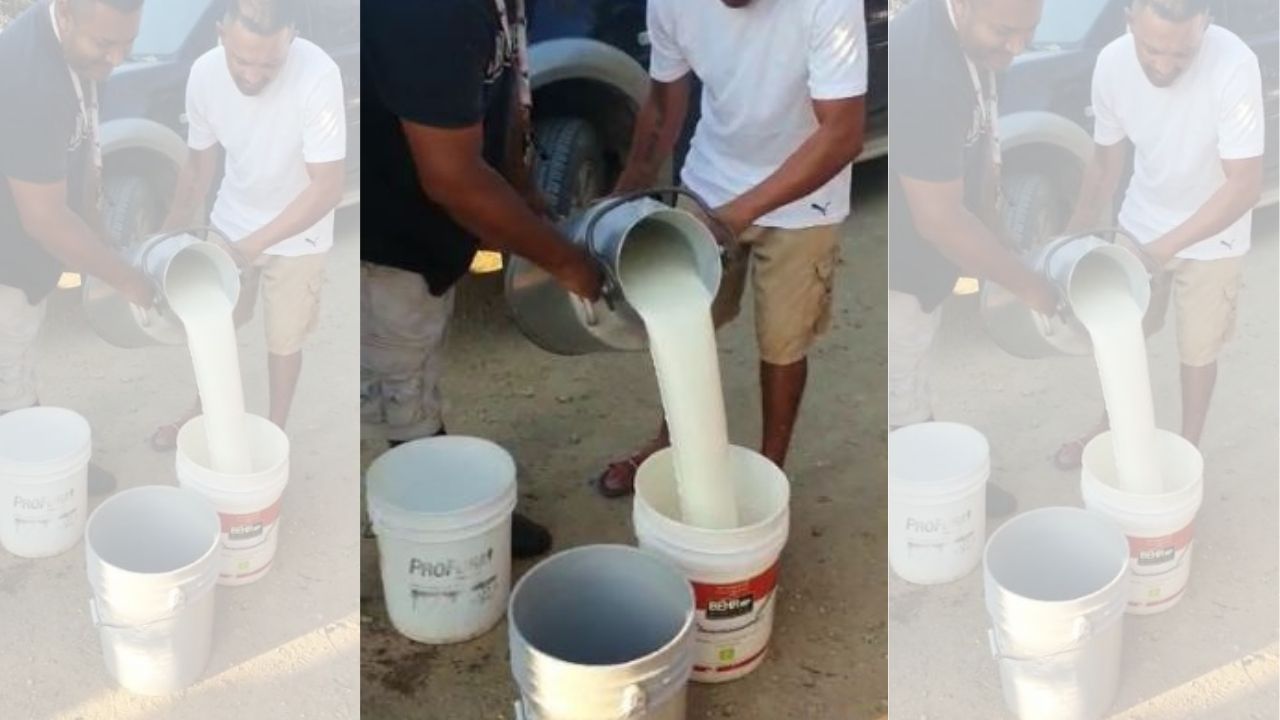 Productores regalan leche en Olancho por esta razón