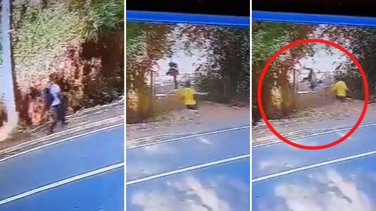 Niño se salva de secuestro saltando un muro; vídeo muestra cómo dejó atrás a su agresor