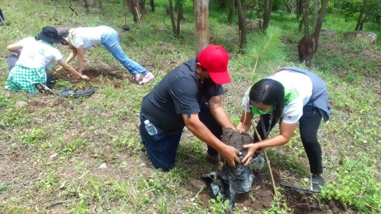 ¡Súmate a la tropa verde! Emisoras Unidas y Televicentro lanzan Plantatón HN 2022