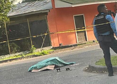 Imagen de cuerpo de nota