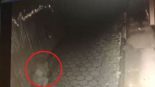 Imagen de cuerpo de nota