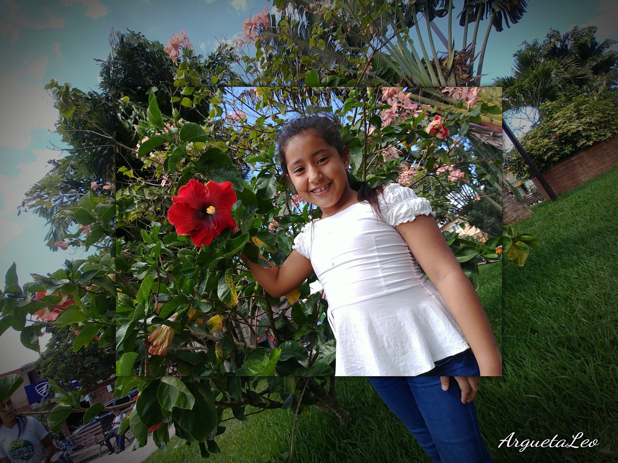 Imagen de cuerpo de nota