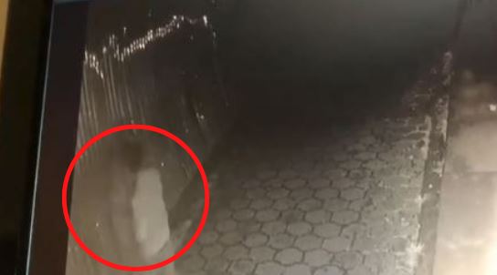 Imagen de cuerpo de nota