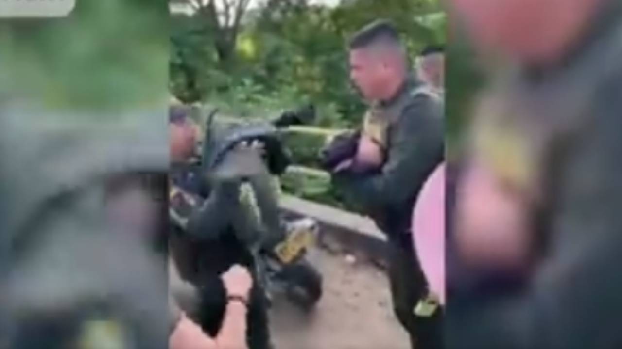 Imagen de ¡Indignante! Madre lanzó de un puente a su bebé de 9 días de nacida y así lo hallaron